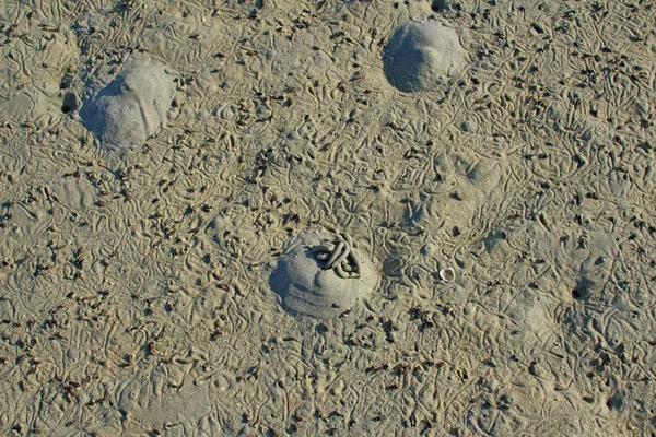 Strand Sand strukturiert nützlich für Hintergrund — Stockfoto