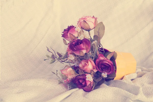 Rose bos bloem — Stockfoto