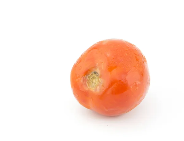 Tomate podre — Fotografia de Stock