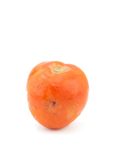 Rotte tomaten — Stockfoto