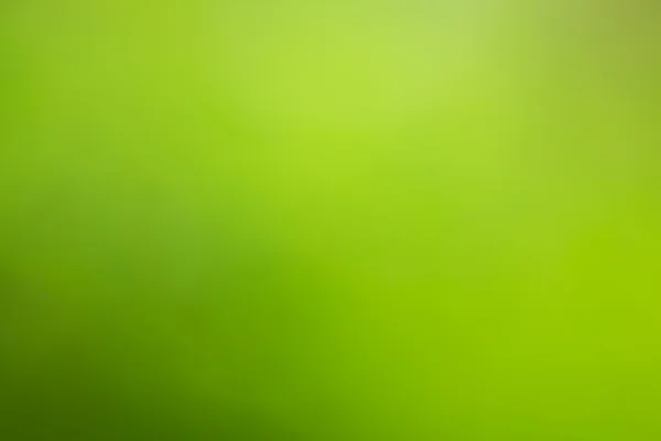 Bright green yellow blurred background — Stock Photo, Image