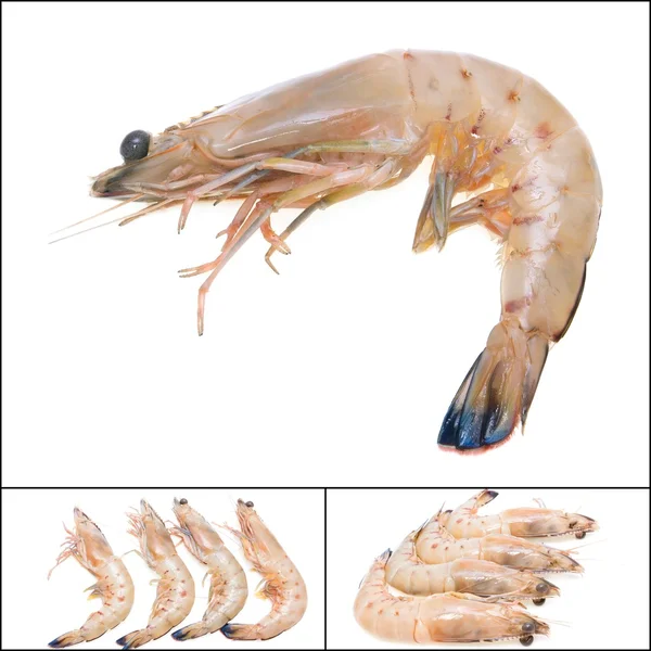 Fresh king prawns — Stock Photo, Image