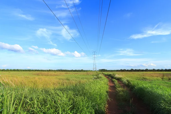 Posto de alimentação de alta tensão de eletricidade no crepúsculo no campo — Fotografia de Stock