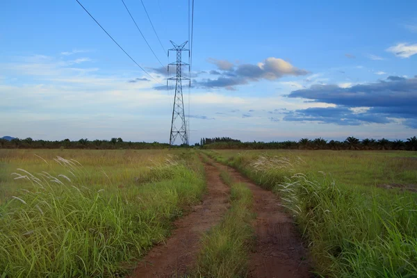 Electricidad poste de alta tensión en el crepúsculo en el campo —  Fotos de Stock