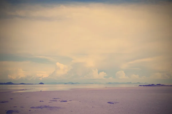 Винтажный тропический пляж в летний сезон — стоковое фото