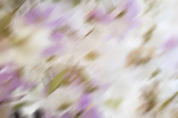 Motion randig färgglad blomma suddig abstrakt bakgrund — Stockfoto