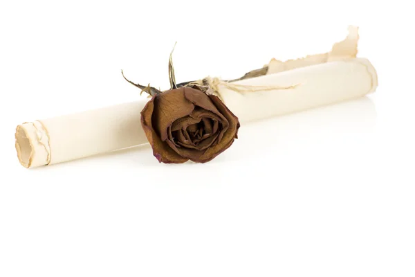 Old rolled  paper with rose flower isolated on white background — Stock Photo, Image