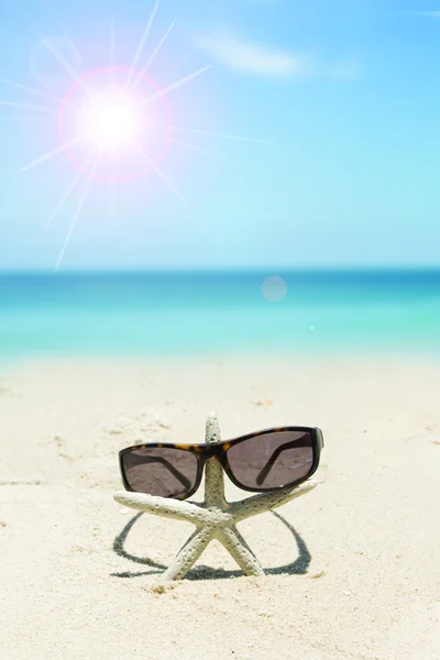 Chique zonnebril en zeester op wit zand strand — Stockfoto