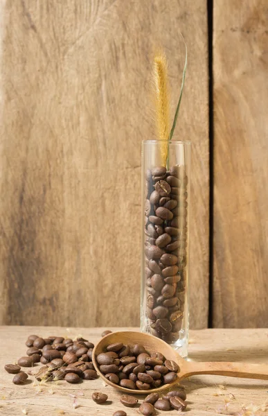 Still life roasted coffee beans in glass vase with foxtail weed — Stock Photo, Image