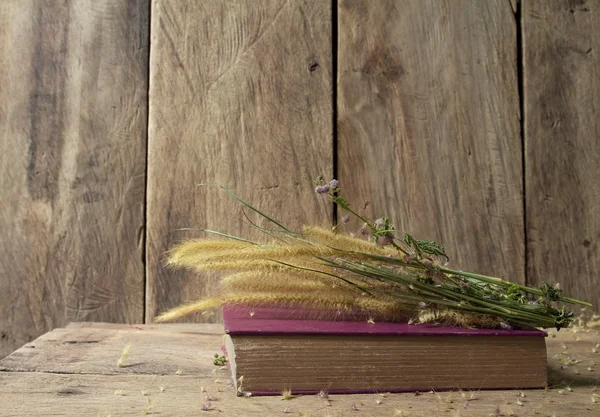 Natura morta con vecchio libro e erba di coda di volpe di fiore in luce dorata — Foto Stock