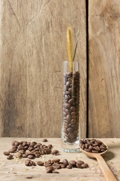 Masih hidup kopi panggang kacang di vas kaca dengan rumput ekor rubah — Stok Foto