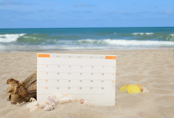 Sea shells and calendor pad on white sand beach background colle — Stock Photo, Image