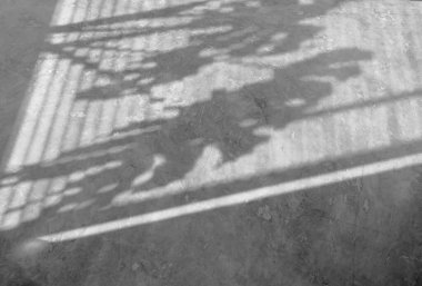 Gölge Canavarı arka plan için çimento duvarına ev bitkileri bırakıyor ve maket yapıyor.