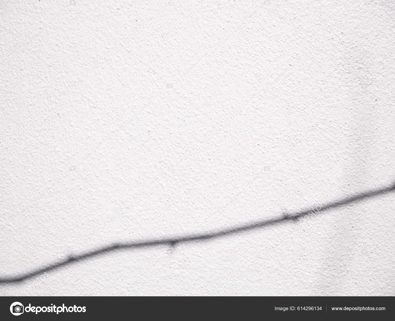 Теневой Лист Растения Текстурированный Минимализм Фон Заготовки.