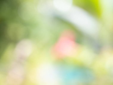 Soyut bulanık doğa yeşil yaprak mavi gökyüzü arkaplanı