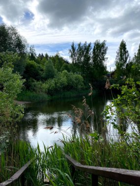 Ağaçlarla çevrili göl manzarası. Dikey formatta arkaplan olarak çekildi. Yeşil yapraklı dallar ve mavi göl. ışık dalgası.