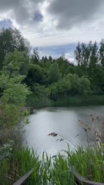 Ağaçlarla çevrili göl manzarası. Dikey formatta arkaplan olarak çekildi. Yeşil yapraklı dallar ve mavi göl. ışık dalgası.