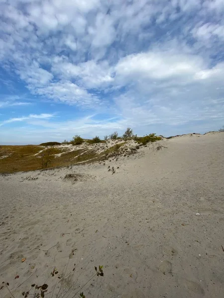 Hierba Las Dunas Del Mar Paisaje Marino Junto Playa Enmarcado — Foto de Stock