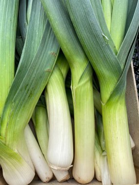 Arka plan olarak taze, sulu pırasa, yakın plan. Doğal arkaplan.