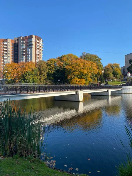 Impresionante Vista Lower Pond Parque Cerca Ella Ciudad Kaliningrado Rusia —  Fotos de Stock