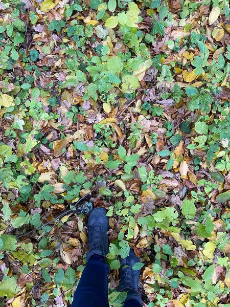 Der Herbst Hinterlässt Spuren Schöner Natürlicher Teppich Aus Abgefallenen Blättern — Stockfoto