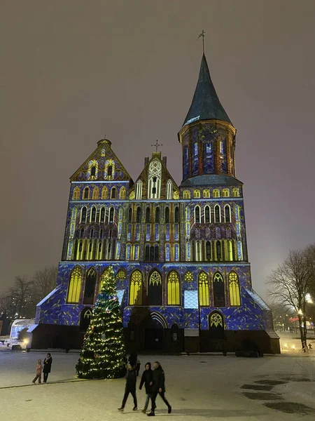 Kalininingrad 'ın merkezindeki Domsky Katedrali (Leydimizin ve Aziz Adalbert Katedrali) gece, gece şehir manzarası, Immanuel Kant Adası