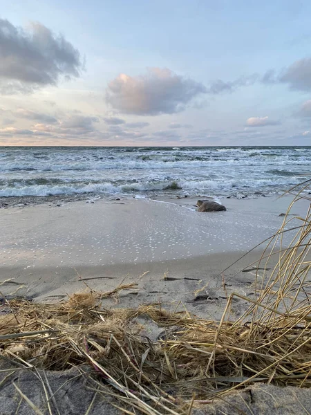 Costa Del Mar Báltico Invierno Zelenogradsk Región Kaliningrado Durante Puesta — Foto de Stock