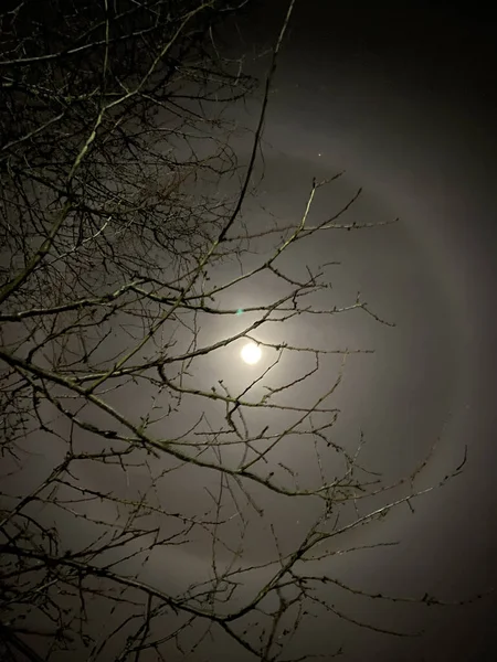 Schöner Mondring Wunderschöner Winterhalo Den Mond — Stockfoto