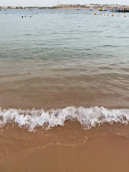 エジプトの紅海の美しい海岸 縦の写真を閉じて — ストック写真