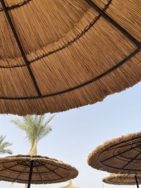 Kızıl Deniz 'deki güzel sahil kıyısı, Mısır. Şehir ve sahil, Naama 'ama Körfezi. Mısır oteli, palmiye ağacı, mavi gökyüzü manzaralı.