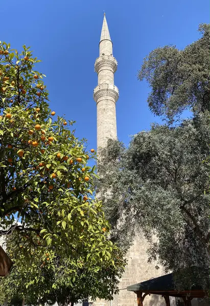 Antalya 'daki eski şehirde bir cami. Türkiye 'nin Antalya ilçesi