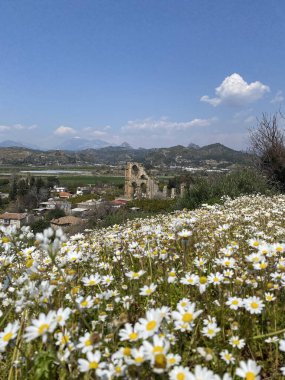 Aspendos veya Aspendus, Antalya 'nın antik bir Greko-Roma kenti. Roma su kemeri. Türkiye 'nin Aspendos antik kentinde amfitiyatro