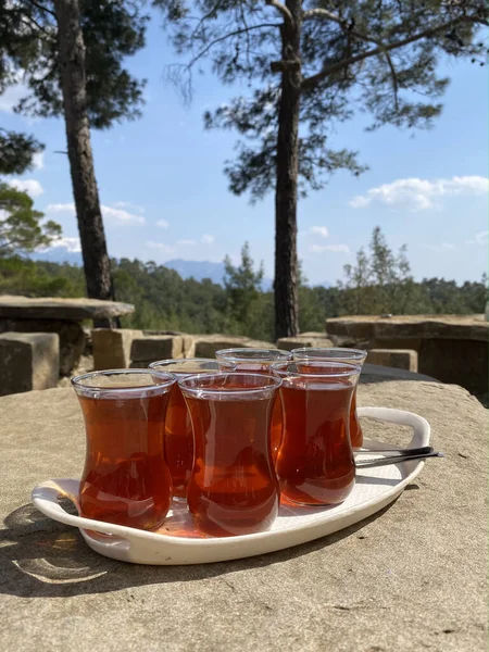 Turkish tea, pine forest with ruins of the ancient city  in Turkey. Wooden way in the pine forest. Selective focus.