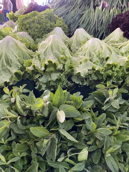 Berbagai Macam Sayuran Berdaun Hijau Segar Dan Organik Pasar Petani — Stok Foto