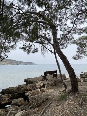 Phaselis Sahili. Türkiye 'ye git. Phaselis antik şehir ve deniz ile orman kaplı tepeler. Antik Phaselis, Antalya 'nın manzarası