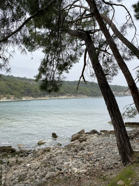 Phaselis Beach Travel Turkey Phaselis Ancient City Sea Forest Covered — Stock Photo, Image