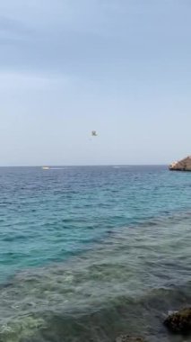 Kızıl Deniz 'deki güzel sahil kıyısı, Mısır. Şehir ve sahil, Naama 'ama Körfezi. Mısır oteli, palmiye ağacı, mavi gökyüzü manzaralı.