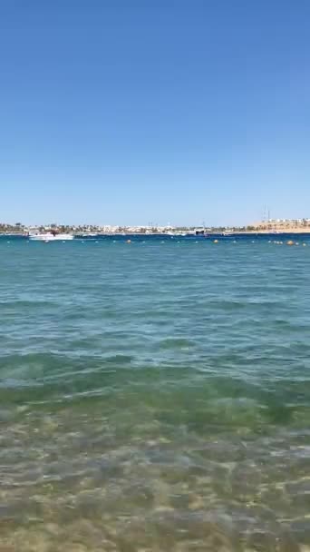 이집트 아름다운 해변이었습니다 도시와 이집트의 리조트 야자나무 하늘로 보이는 — 비디오