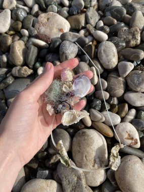 Plaj kirliliği. Plastik çöpler deniz sahilinde. Okyanus kirliliği. Deniz kıyısındaki plastik çöpler. Eldeki çöp.