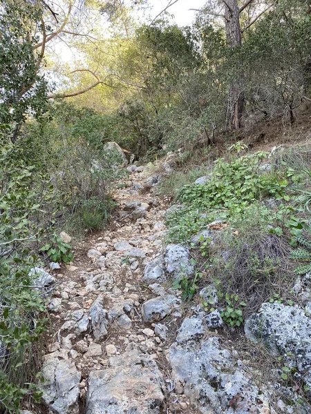 Bergsluttning Uppför Stigen Chalysh Berg Kemer Turkiet — Stockfoto