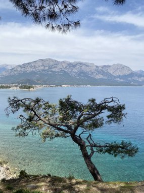 Türkiye 'nin Kemer kentinin panoramik manzarası. Yükseklerden Akdeniz kıyısındaki çam ağaçlarına bak. Türkiye 'nin Kemer kentindeki Chalysh Dağı