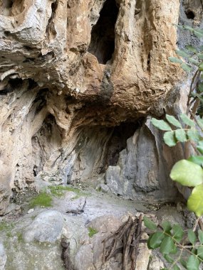 Dağlardaki kaya yarığında küçük bir mağara. Dikitleri ve sarkıtları olan turistik bir mağara. Yazın ormandaki kaya mağarası