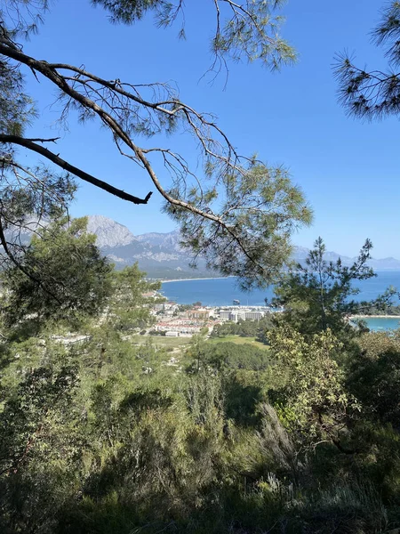 Vista Panorâmica Kemer Turquia Vista Altura Através Dos Pinheiros Costa — Fotografia de Stock