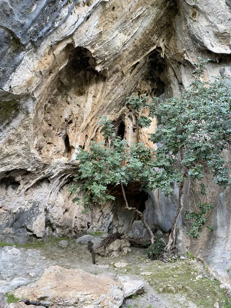 Petite Grotte Crevasse Roche Dans Les Montagnes Grotte Touristique Avec — Photo