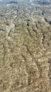 Kayalara bağlı deniz kabukluları çok güzel. Hafta içi öğlen manzarası var. Antalya, Kemer 'deki kayalara bivalf yumuşakçaları yerleştirilmiş.