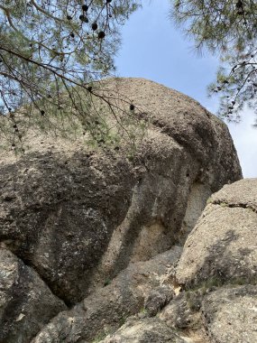 Türkiye 'nin Akdeniz kıyısındaki Antalya ilinde yeşillik ve kaya oluşumlarına sahip güzel bir çalılık manzarası. Türkiye 'nin Kemer kentinin panoramik manzarası. Yükseklerden Akdeniz kıyısındaki çam ağaçlarına bak.. 