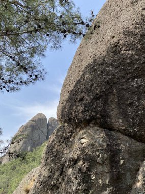 Türkiye 'nin Akdeniz kıyısındaki Antalya ilinde yeşillik ve kaya oluşumlarına sahip güzel bir çalılık manzarası. Türkiye 'nin Kemer kentinin panoramik manzarası. Yükseklerden Akdeniz kıyısındaki çam ağaçlarına bak.. 