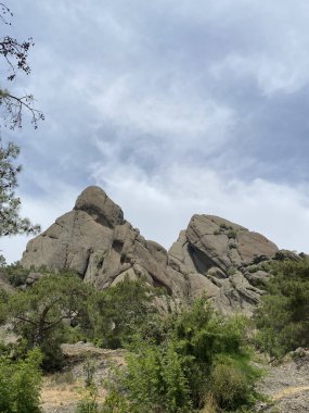 Türkiye 'nin Akdeniz kıyısındaki Antalya ilinde yeşillik ve kaya oluşumlarına sahip güzel bir çalılık manzarası. Türkiye 'nin Kemer kentinin panoramik manzarası. Yükseklerden Akdeniz kıyısındaki çam ağaçlarına bak.. 