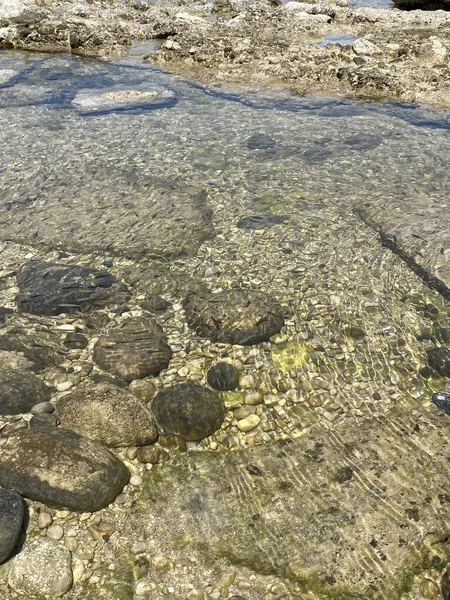 Bakken Zwemmen Ondiepe Wateren Buurt Van Kust — Stockfoto