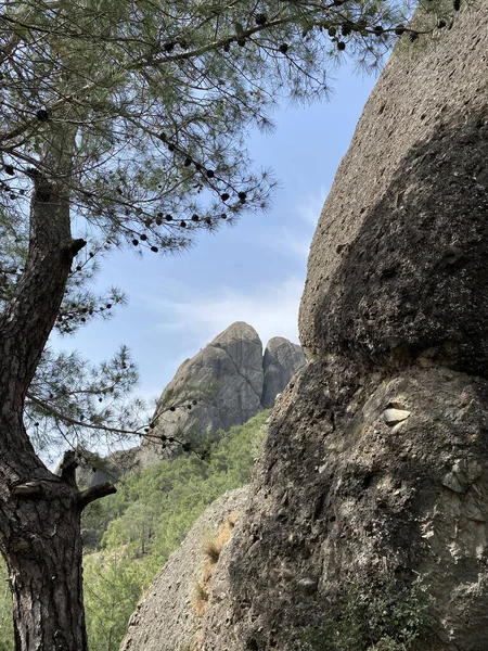Türkiye 'nin Akdeniz kıyısındaki Antalya ilinde yeşillik ve kaya oluşumlarına sahip güzel bir çalılık manzarası. Türkiye 'nin Kemer kentinin panoramik manzarası. Yükseklerden Akdeniz kıyısındaki çam ağaçlarına bak.. 